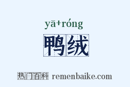 鸭绒是什么意思的图片